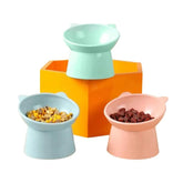 Bát Ăn Cho Chó Mèo Chống Gù Hình Tai Mèo Pet Cute - Paddy Pet Shop